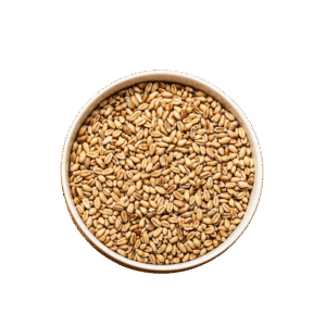 Wheat